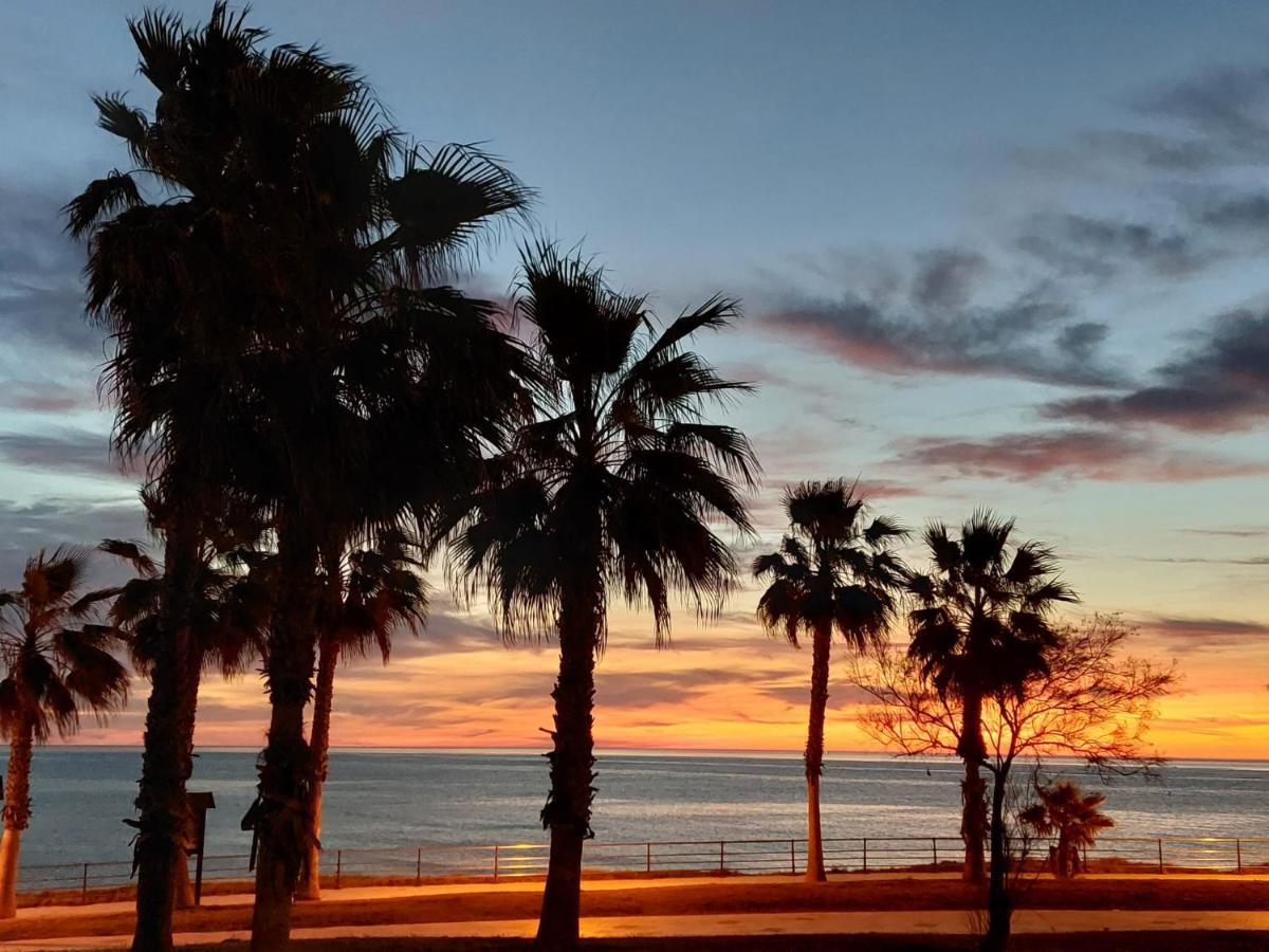 Zenia Hostel Playa Flamenca Eksteriør billede